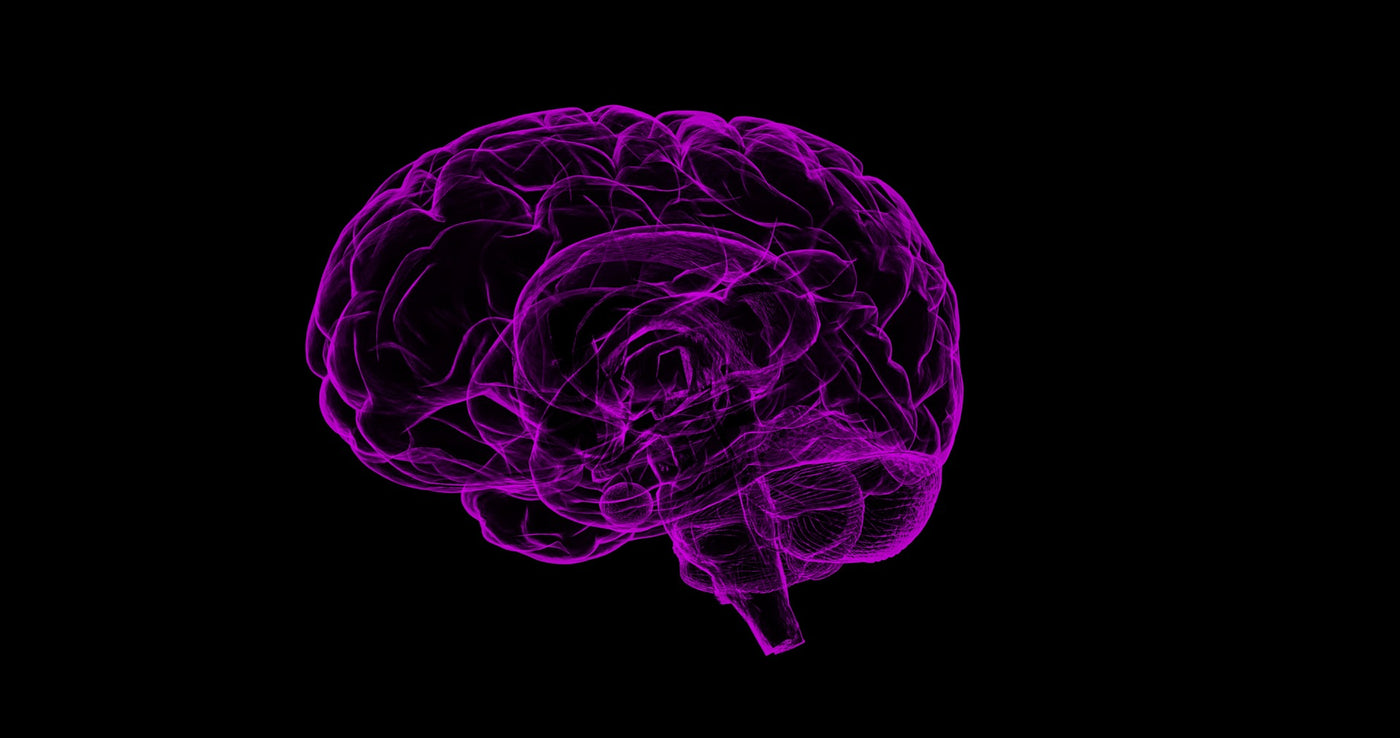 BREAKING News: Optimal Brain Health Requires CBD