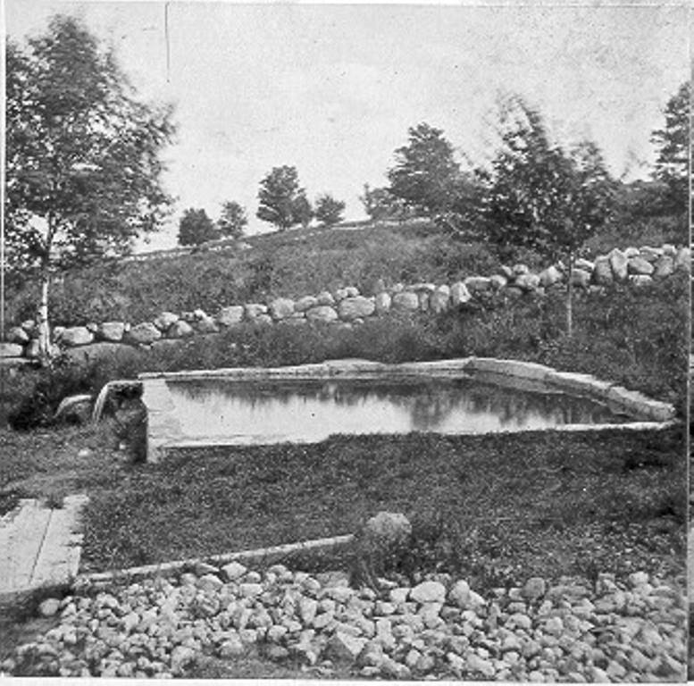 Reason #3 We only capture the overflow of spring water that bubbles naturally to the Earth’s surface